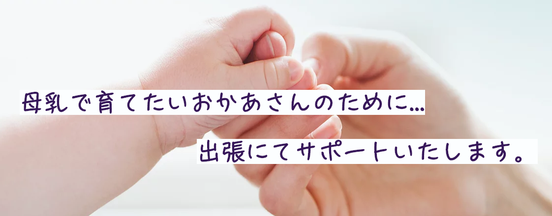 イクコ母乳育児相談室（訪問も可）の画像